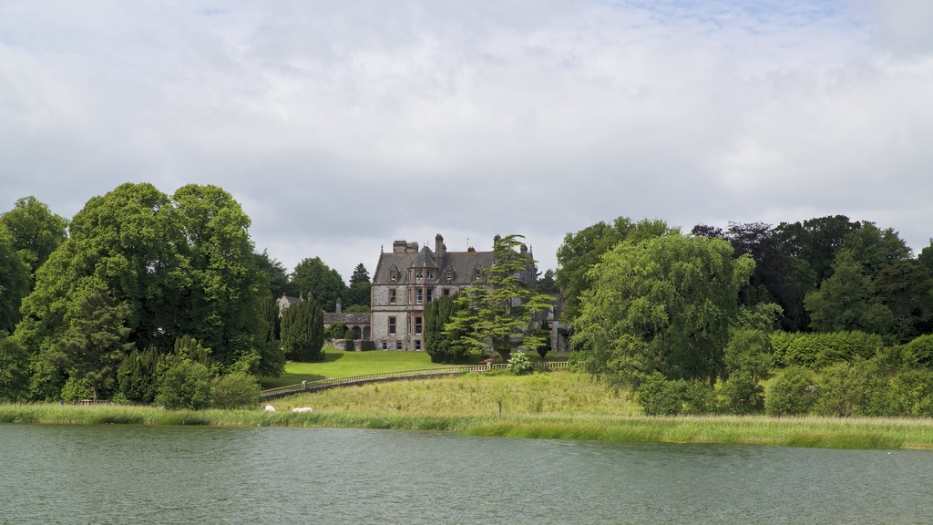 Castle Leslie
