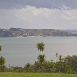 Whangaparoa Head