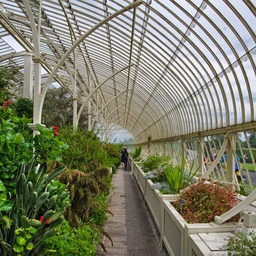 The Glasshouse