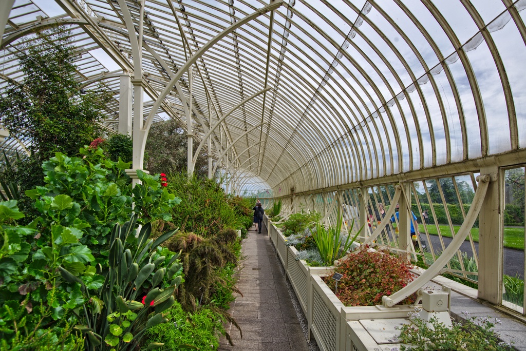 The Glasshouse
