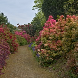 A profusion of colour