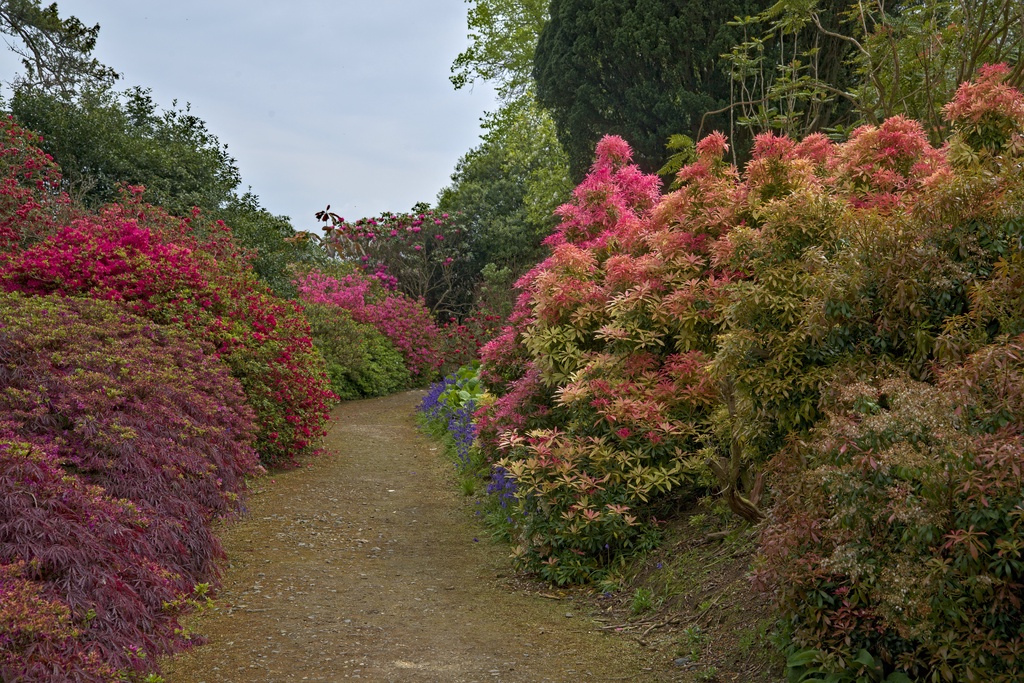 A profusion of colour