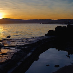 Dawn on the Monterey Peninsula