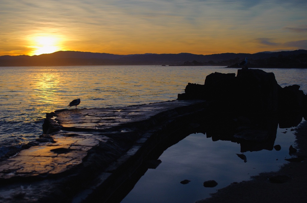 Dawn on the Monterey Peninsula