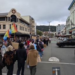 A crowd of people marching in a city street during a protest.