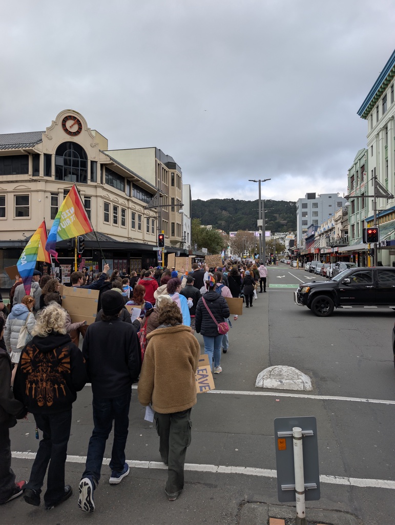 A crowd of people marching in a city street during a protest.