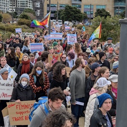 A large crowd of people at a protest or rally.