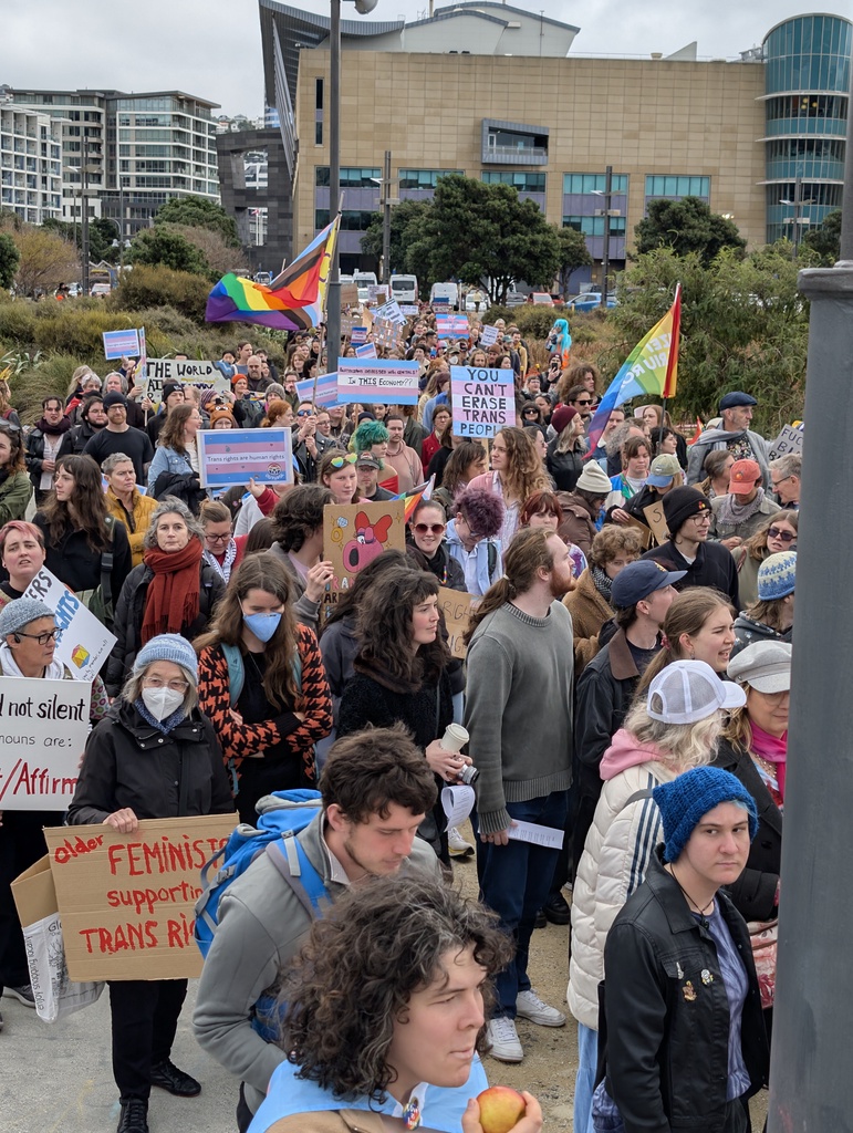 A large crowd of people at a protest or rally.