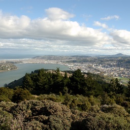 Dunedin