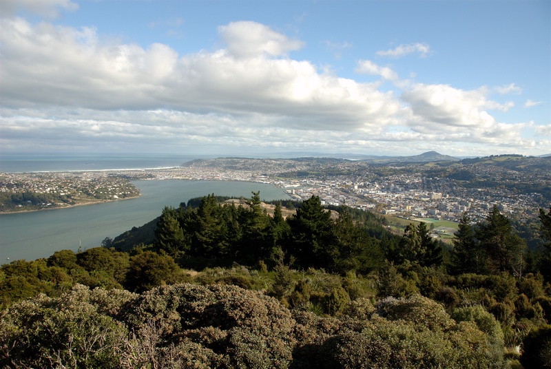 Dunedin