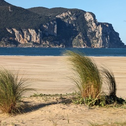 Beach and Headland at Laredo