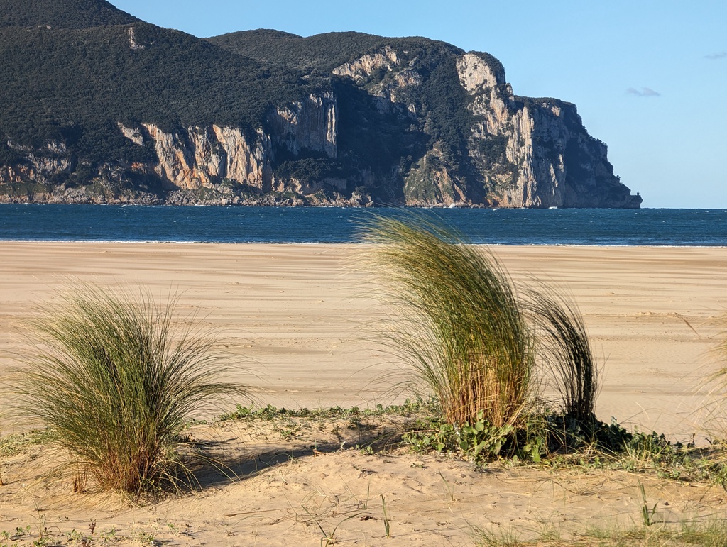 Beach and Headland at Laredo