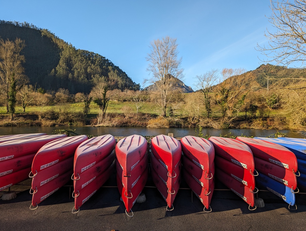 A row of red and blue kayaks lined up ne