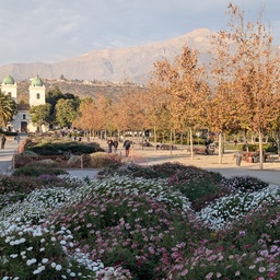 A scenic mountain range in the background of a park.