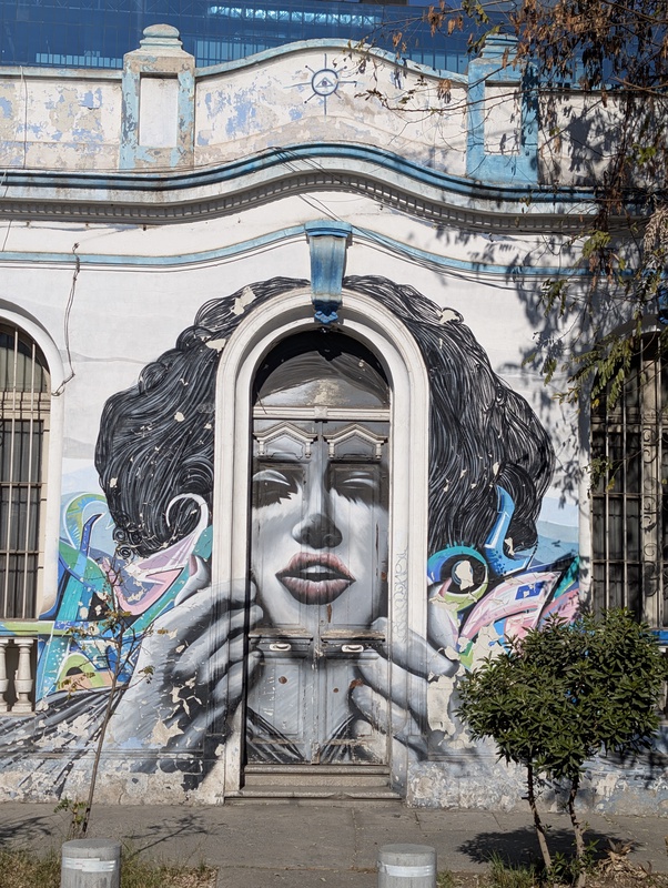 A large mural of a woman's face on the side of a building.