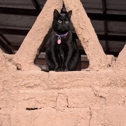 A black cat sitting inside a triangular window of a mud wall.