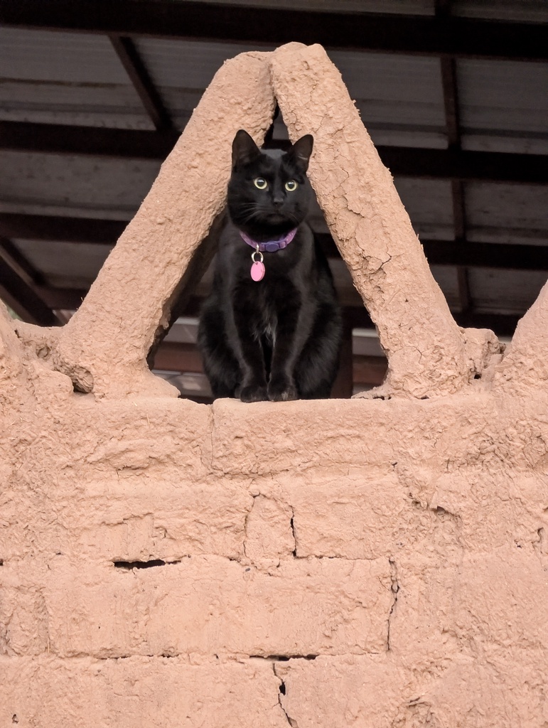 A black cat sitting inside a triangular window of a mud wall.